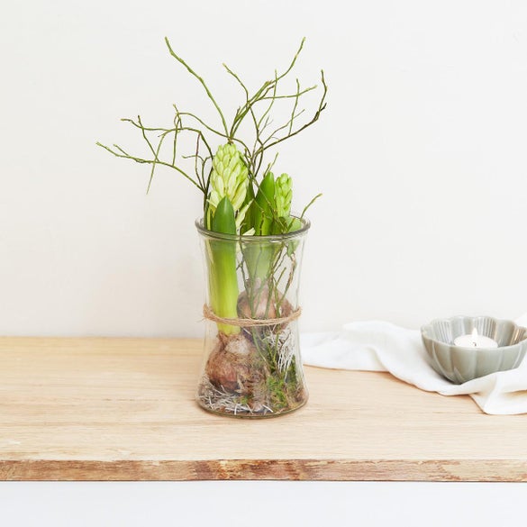 Hyacinter i glasvase, hvid